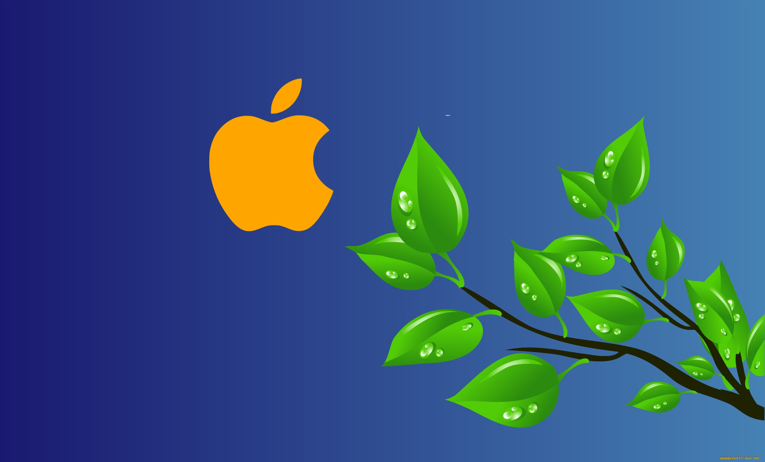 , apple, , 